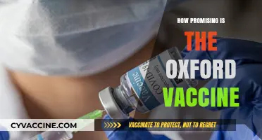 Oxford Vaccine: A Promising COVID-19 Solution or Cautious Optimism?