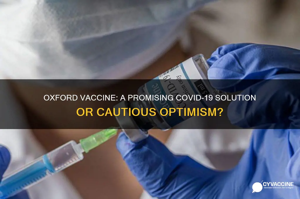 how promising is the oxford vaccine