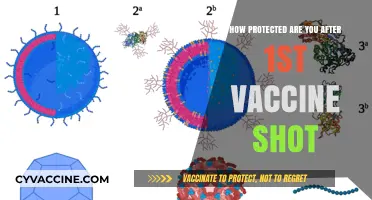 Partial Protection: Understanding Your Immunity After the First Vaccine Dose