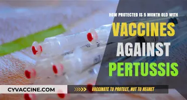 Vaccine Shield: Pertussis Protection for 5-Month-Old Infants Explained