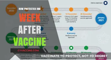 Vaccine Protection Timeline: Understanding Immunity One Week Post-Vaccination