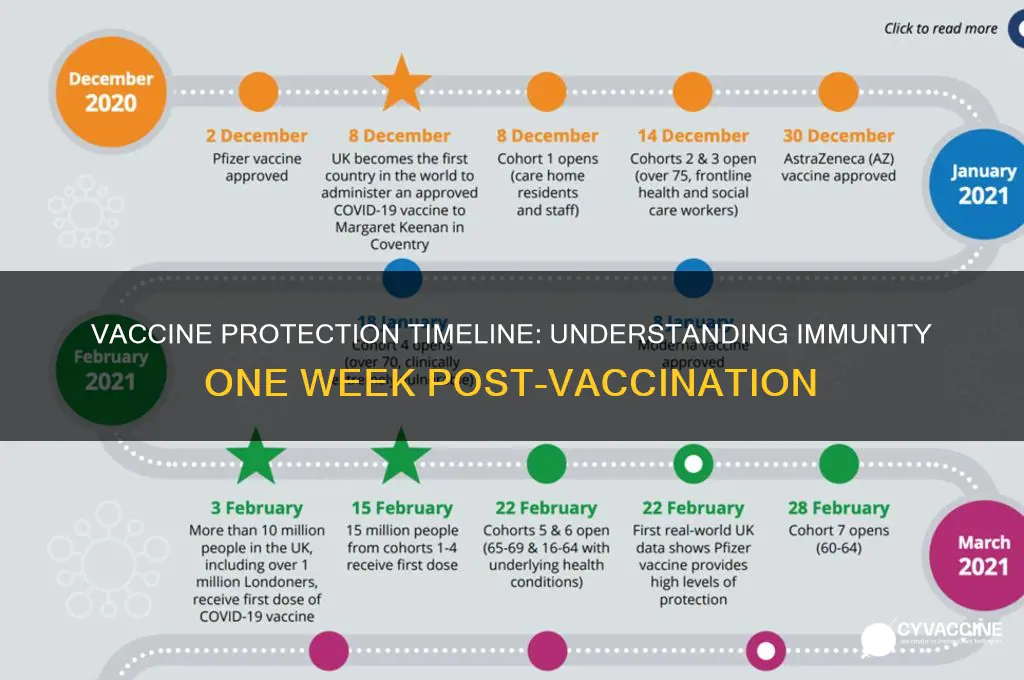 how protected one week after vaccine
