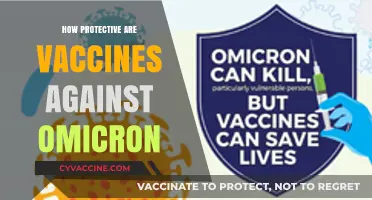 Vaccine Efficacy Against Omicron: Protection Levels and Breakthrough Risks