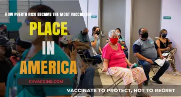 Puerto Rico's Vaccine Triumph: How the Island Led America