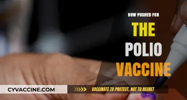 The Urgent Drive: How Advocates Pushed for the Polio Vaccine