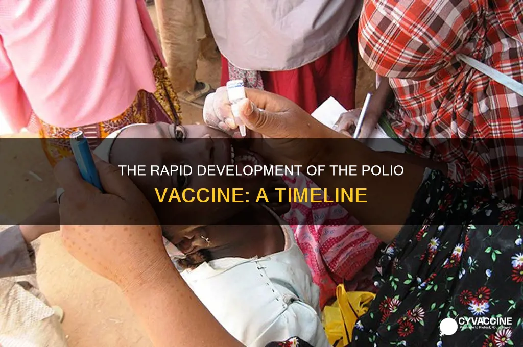 how quickly did the polio vaccine come out
