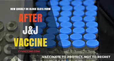 J&J Vaccine and Blood Clots: Understanding Formation Speed and Risks