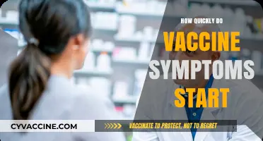 When Do Vaccine Side Effects Begin? A Quick Symptom Timeline