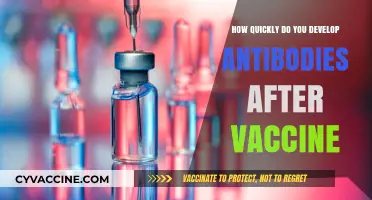 Antibody Development Timeline: How Soon After Vaccination Do They Form?