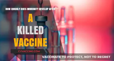 Killed Vaccines: Understanding the Timeline for Immunity Development