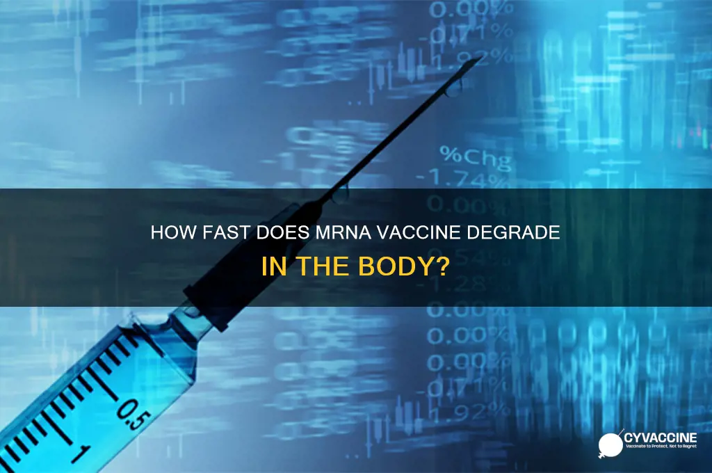 how quickly does mrna vaccine degrade