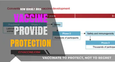 How Soon After Vaccination Does Immunity Kick In?