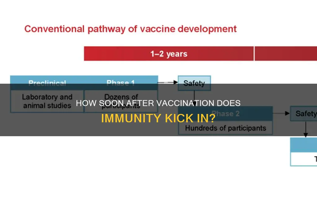 how quickly does vaccine provide protection