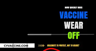 How Fast Does Vaccine Immunity Decline Over Time?