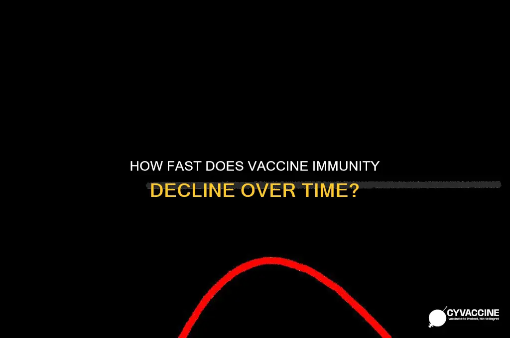 how quickly does vaccine wear off