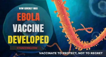 Ebola Vaccine Development: Unprecedented Speed and Global Collaboration