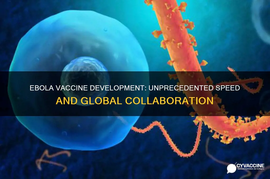 how quickly was ebola vaccine developed