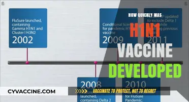 Rapid Response: The H1N1 Vaccine Development Timeline Explained