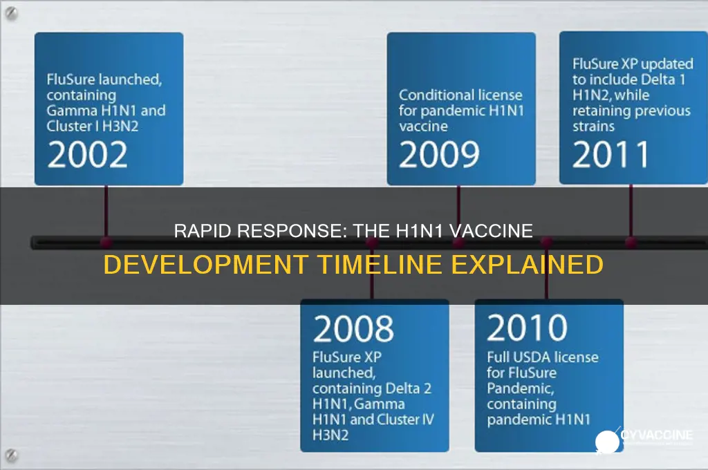 how quickly was h1n1 vaccine developed