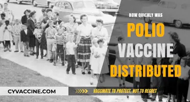 Swift Eradication: The Rapid Global Distribution of the Polio Vaccine