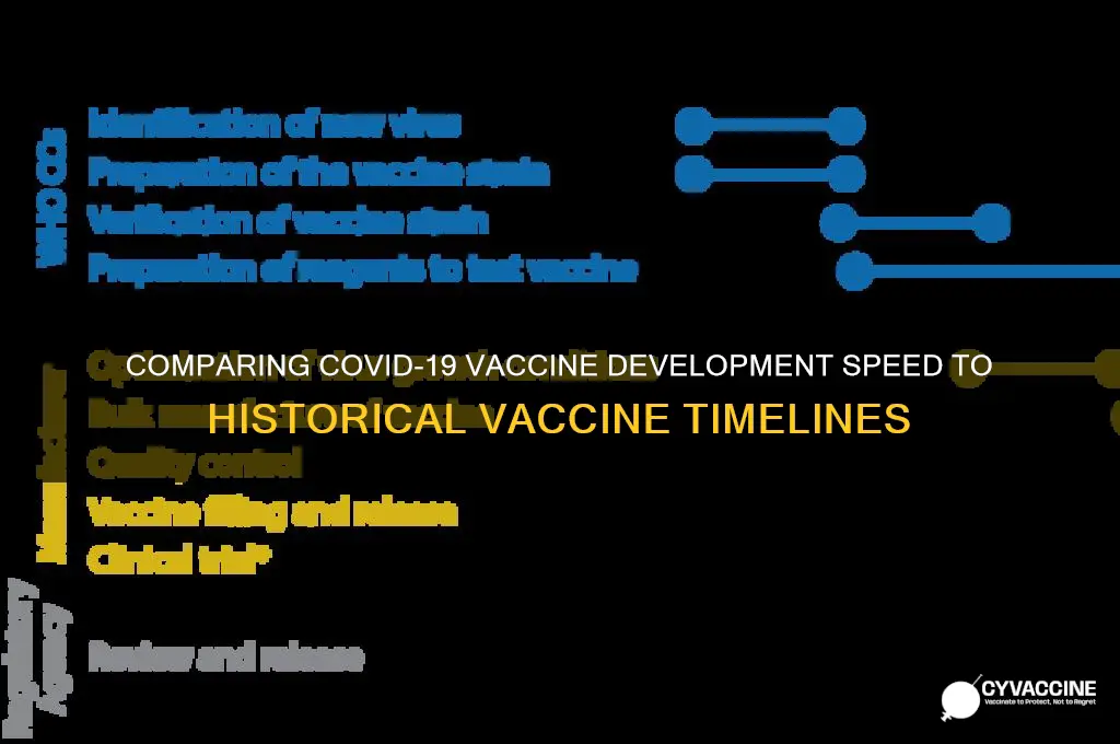 how quickly were other vaccines developed