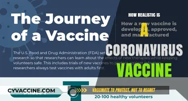 Coronavirus Vaccine: Realistic Timelines, Challenges, and Hope for a Cure