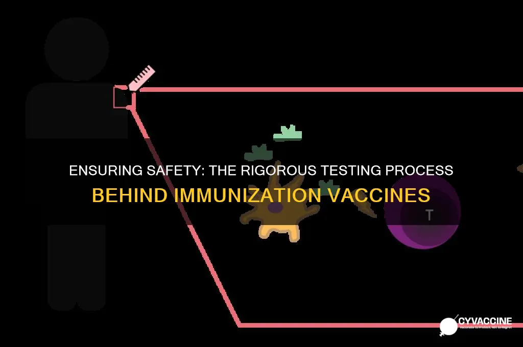 how rigorous is the testing for immunization vaccines