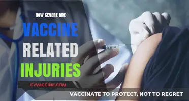 Understanding the Severity of Vaccine-Related Injuries: Facts and Insights