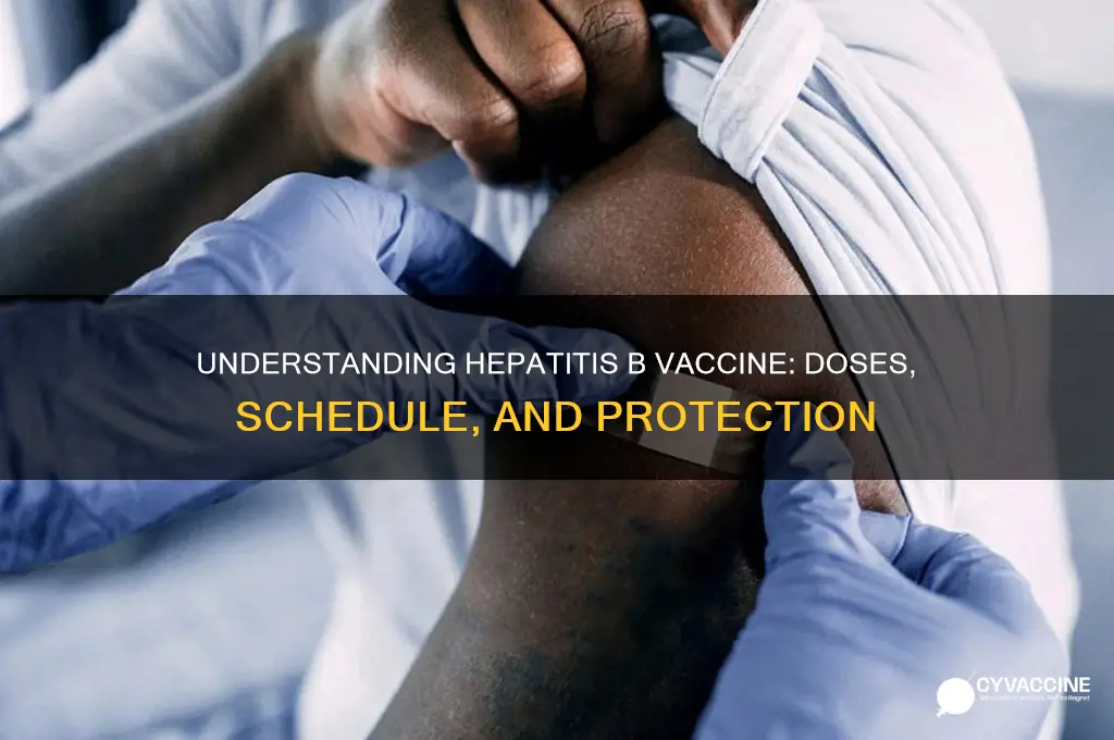 how shots are in a hepatitis b vaccine