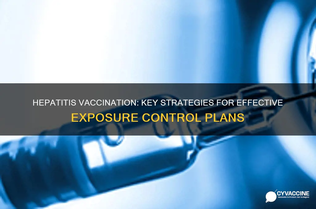 how should an exposure control plan address hepatitis vaccination