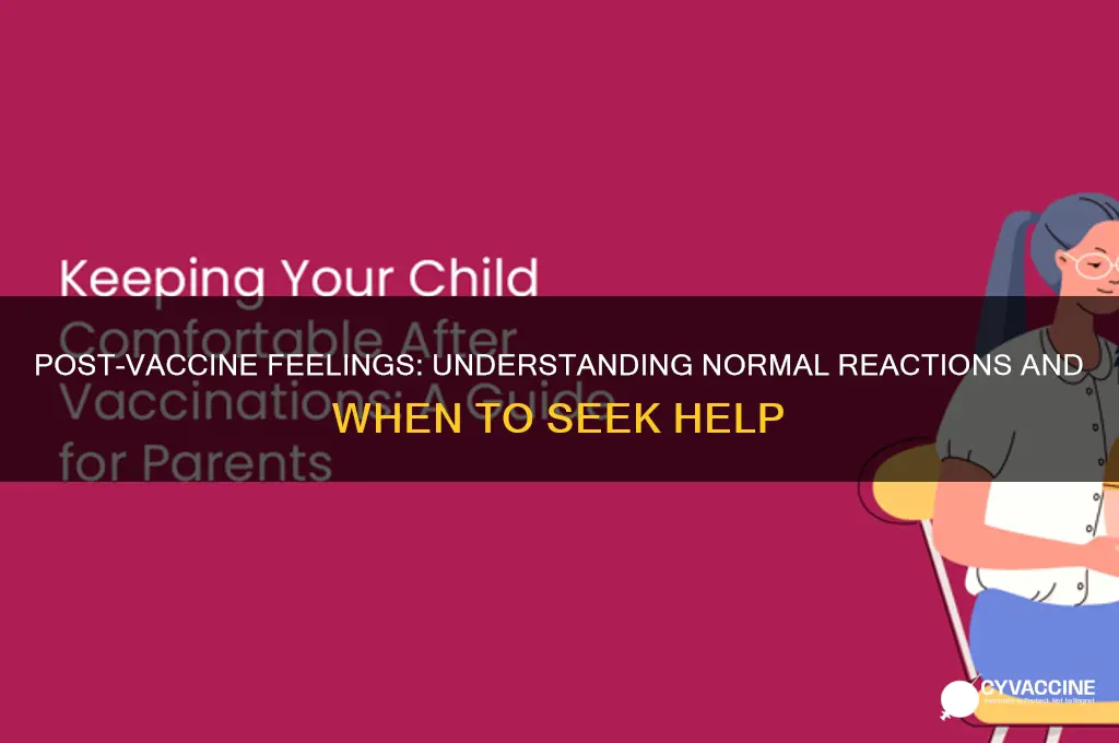 how should i feel after vaccine
