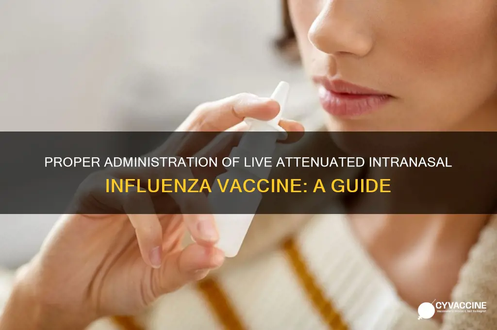 how should the live attenuated intranasal influenza vaccine be administered