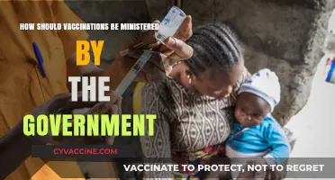 Effective Government Strategies for Fair and Efficient Vaccination Administration