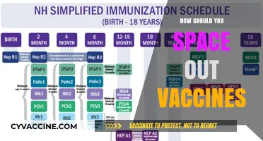 Optimal Vaccine Spacing: Balancing Immunity and Safety for Better Health
