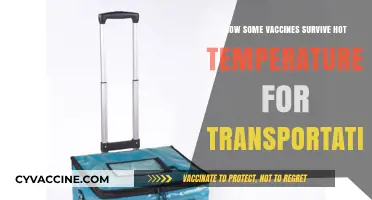 Heat-Resistant Vaccines: Innovations in Safe Transport Across Hot Climates