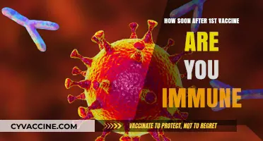 When Does Immunity Kick In After Your First COVID-19 Vaccine?