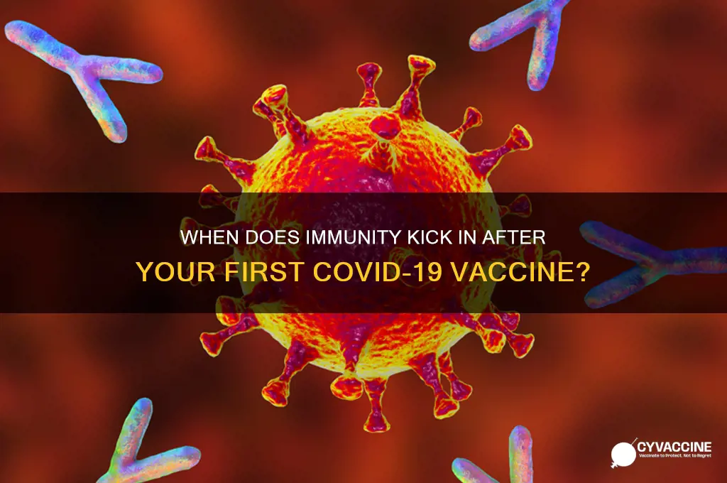 how soon after 1st vaccine are you immune