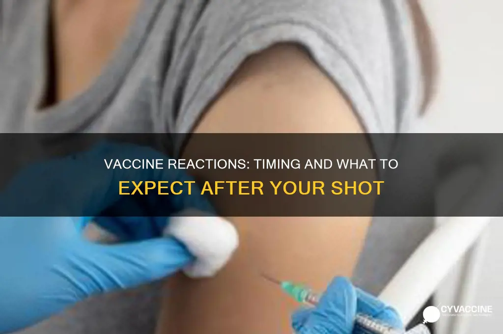 how soon after a vaccine do you have a reaction