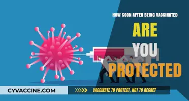 Vaccine Protection Timeline: When Does Immunity Kick In Post-Shot?