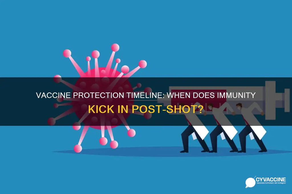 how soon after being vaccinated are you protected