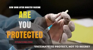 Booster Vaccine Protection Timeline: When Does Immunity Kick In?