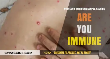 Chickenpox Vaccine Immunity: How Soon Are You Protected?