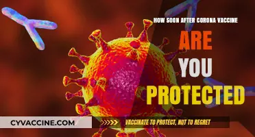 When Does COVID-19 Vaccine Immunity Kick In After Vaccination?