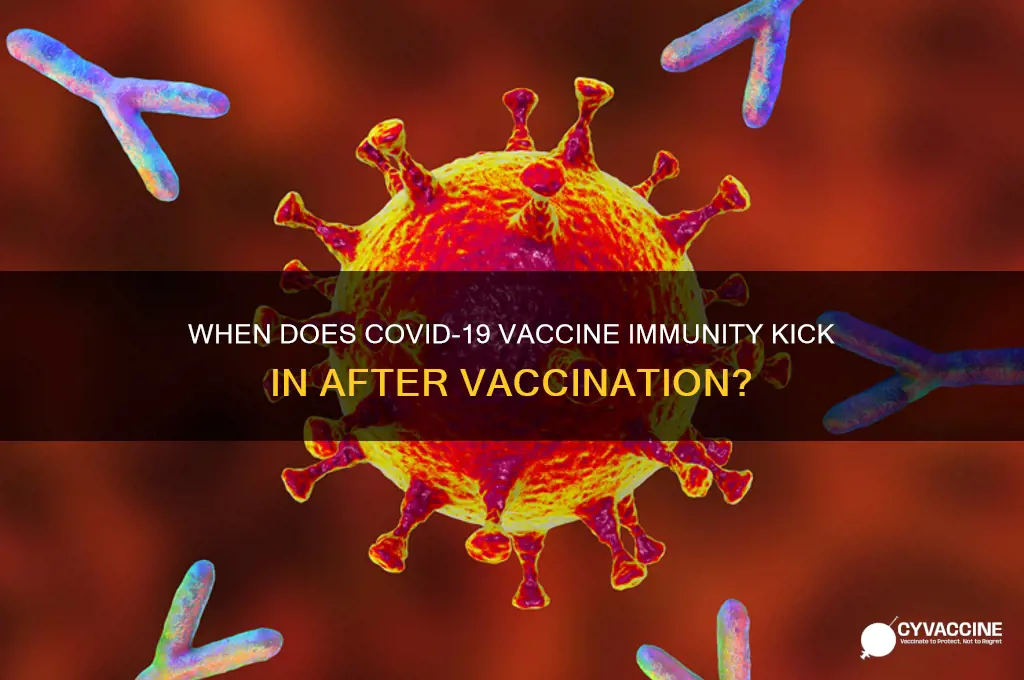 how soon after corona vaccine are you protected