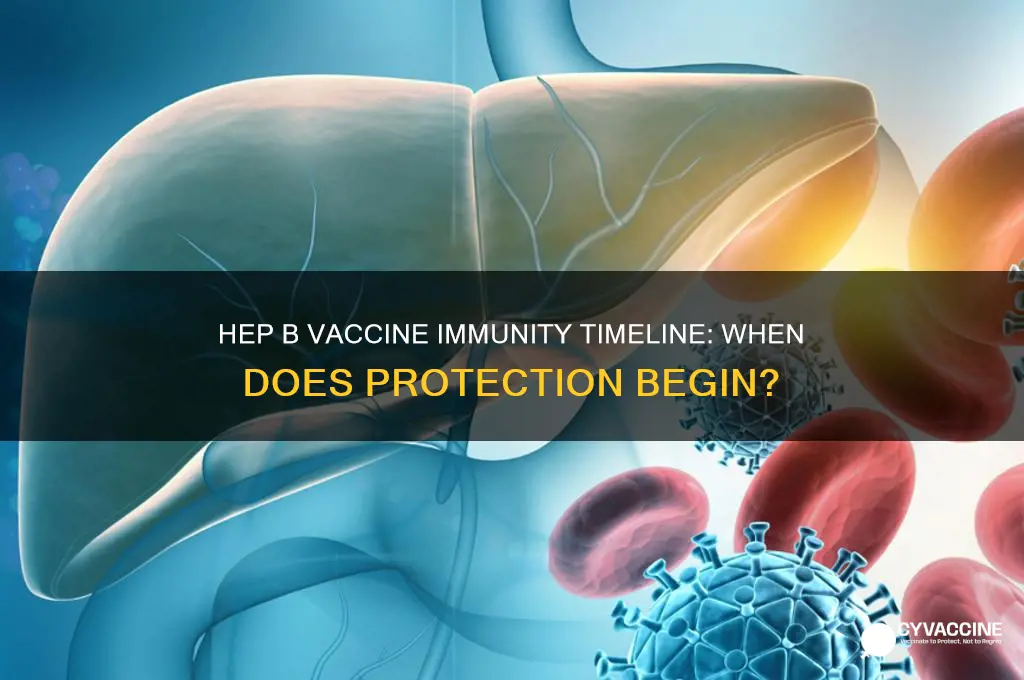 how soon after hep b vaccine are you immune