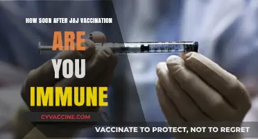 J&J Vaccine Immunity: When Does Protection Kick In After Your Shot?