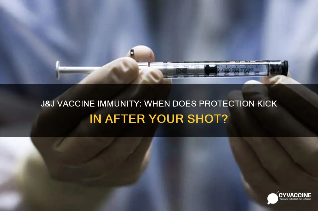 how soon after j&j vaccination are you immune