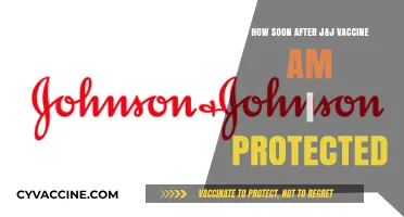 J&J Vaccine Protection Timeline: When Does Immunity Kick In?