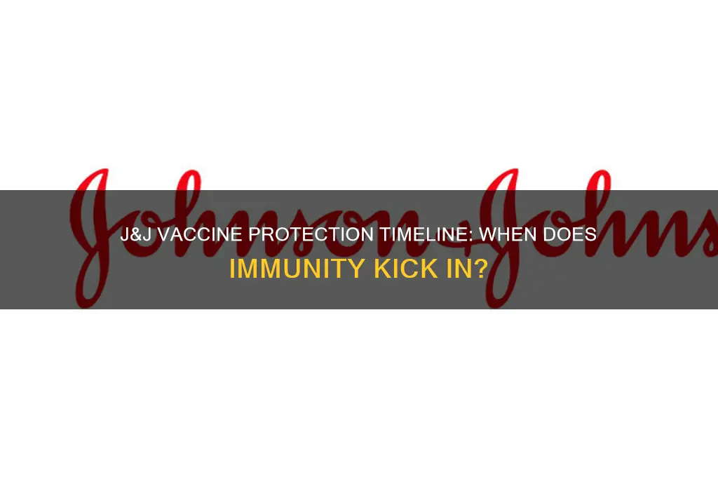 how soon after j&j vaccine am i protected