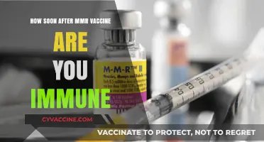 MMR Vaccine Immunity: When Does Protection Kick In After Vaccination?